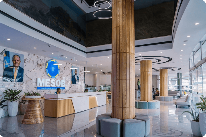 mesobimage